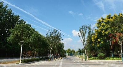 南京激光產(chǎn)業(yè)園