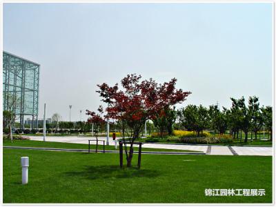 科學(xué)園管委會大樓