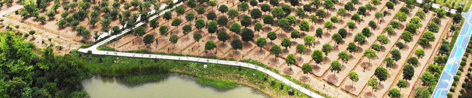 南京錦江園林景觀有限公司
